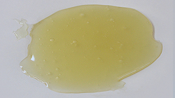 Kazein Yapıştırıcılar