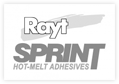 Rayt Sprint